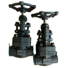 Forged Carbon Steel A105 Thread End NPT Globe Valve